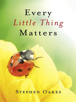 cover image of Every Little Thing Matters